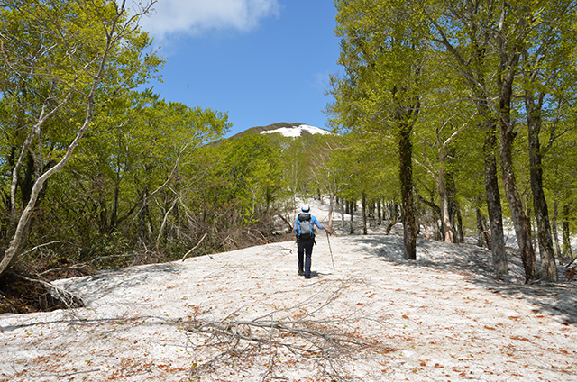 小岳　（中級登山）