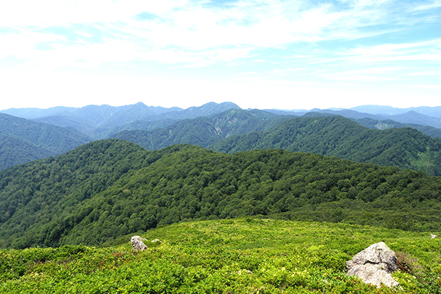 世界自然遺産白神山地