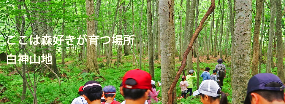 The Shirakami-sanchi World Heritage Conservation Center