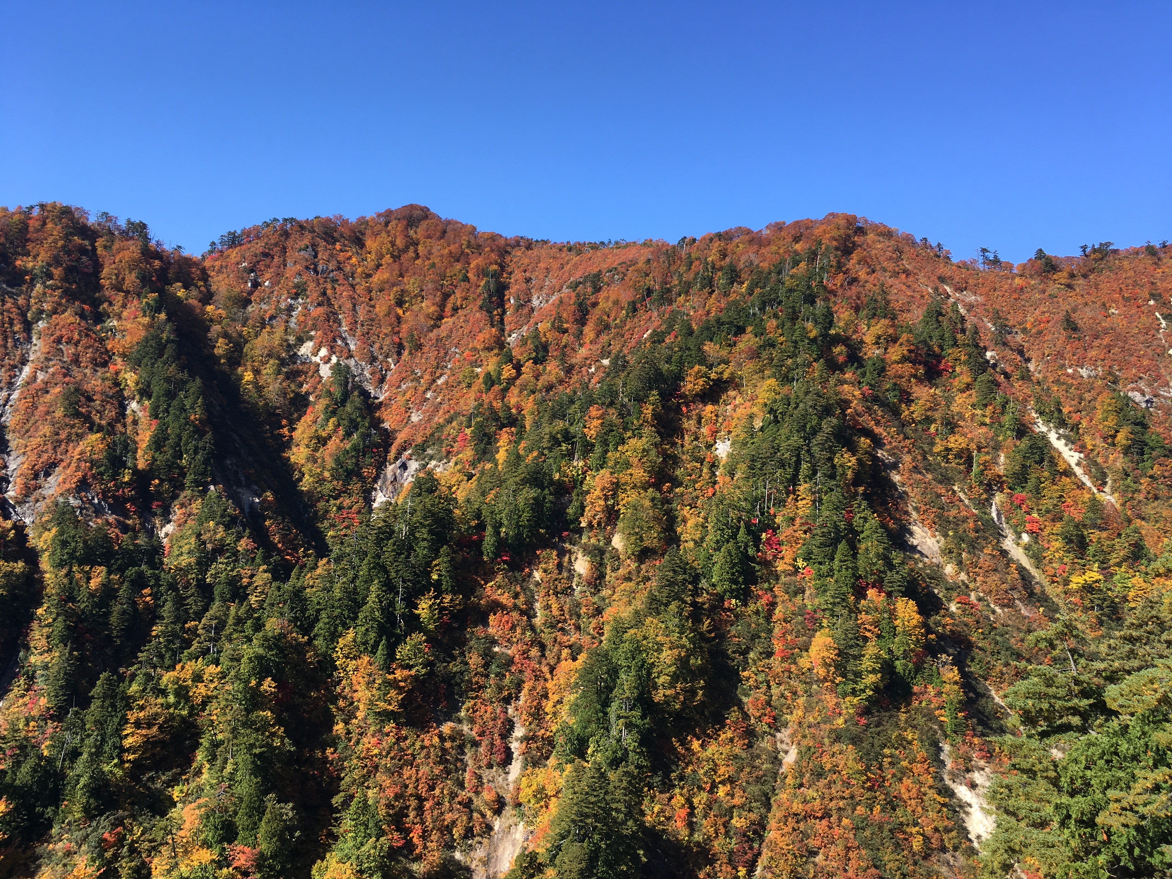 釣瓶落峠からの紅葉